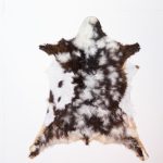 Koelap Geitenhuid - Bruinwit Gevlekt - 105 x 95 cm