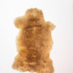 Koelap Schapenvacht - Bruin Egaal - 110 x 70 cm