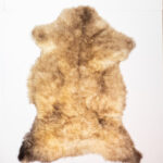 Koelap Schapenvacht - Bruin Egaal - 120 x 95 cm