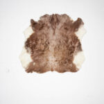 Koelap Stierenhuid - Bruinwit Egaal - 135 x 145 cm