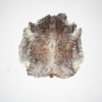 Koelap Stierenhuid - Bruinwit Egaal - 150 x 150 cm