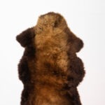 Koelap Schapenvacht - Bruin Egaal - 120 x 80 cm