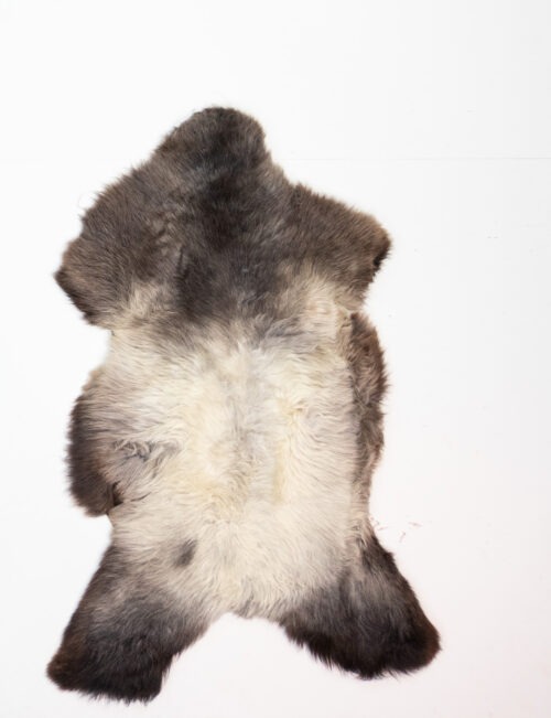 KL_1006587-1.jpg Koelap Schapenvacht - Bruinwit Egaal - 130 x 85 cm