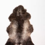 Koelap Schafsfell - Braun Uni - 115 x 85 cm