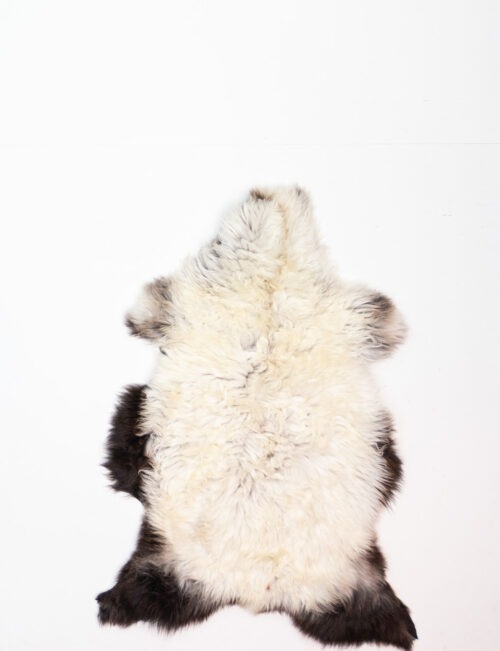 KL_1006591.jpg Koelap Schapenvacht - Zwartwit Egaal - 110 x 75 cm