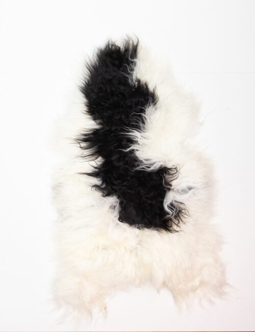 KL_1006595.jpg Koelap IJslandse Schapenvacht - Zwartwit Egaal - 130 x 85 cm