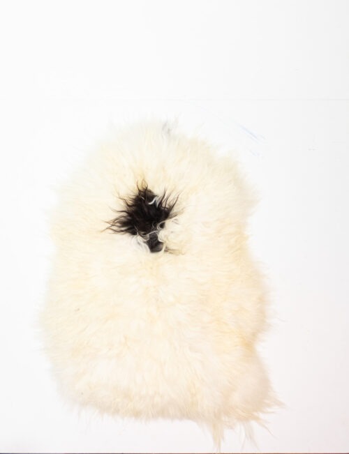 Koelap IJslandse Schapenvacht - Wit Egaal - 115 x 80 cm