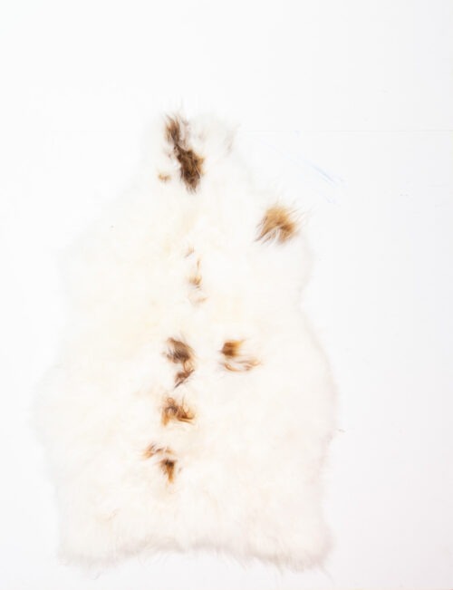 Koelap IJslandse Schapenvacht - Bruinwit Gevlekt - 120 x 80 cm