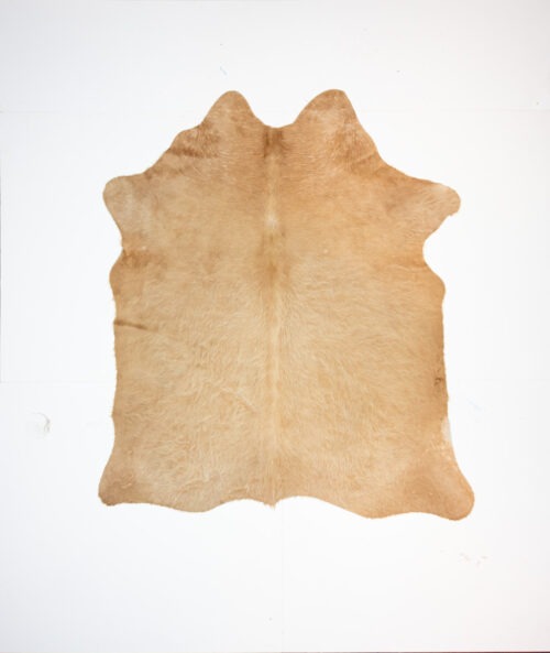 KL_1006763.jpg Koelap Koeienhuid - Bruin Egaal Langharig - 195 x 170 cm