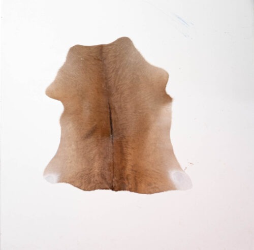 KL_1006827-1.jpg Koelap Kalfshuid - Bruin Egaal - 75 x 70 cm