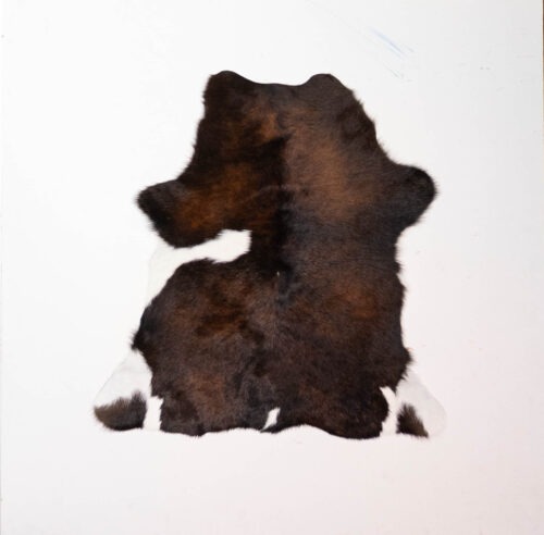 Koelap Kalbsfell - Braun Gefleckt - 85 x 80 cm