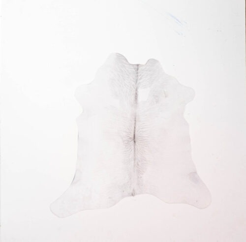Koelap Kalbsfell - Grau Egal - 85 x 80 cm