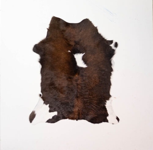 KL_1006856-1.jpg Koelap Kalfshuid - Bruin Egaal - 90 x 75 cm