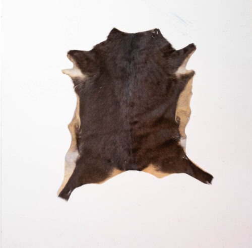 KL_1006877.jpg Koelap Geitenhuid - Bruin Egaal - 85 x 75 cm