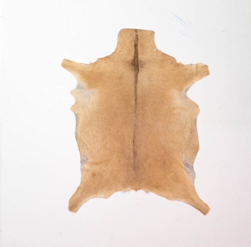 KL_1006880.jpg Koelap Geitenhuid - Bruin Egaal - 90 x 75 cm