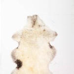Koelap Schapenvacht - Wit Egaal - 120 x 95 cm
