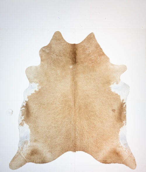 Koelap Kuhfell - Beige Uni Langhaarig - 235 x 215 cm