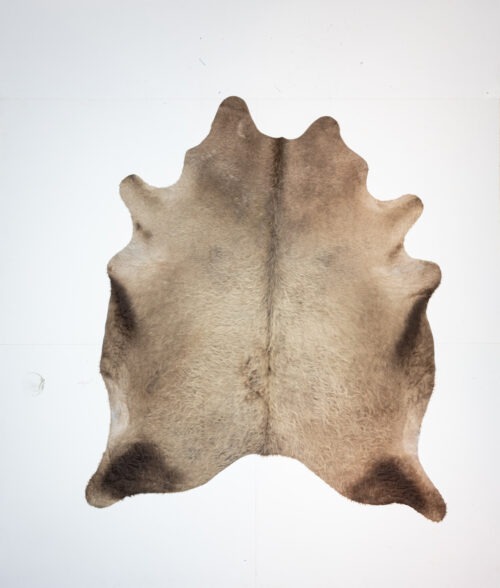 Koelap Kuhfell - Braunweiß Gefleckt Salz & Pfeffer - 210 x 180 cm