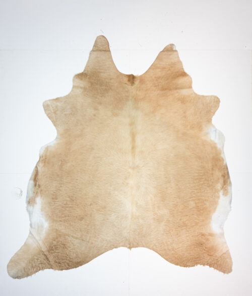 Koelap Kuhfell - Beige Uni - 240 x 220 cm